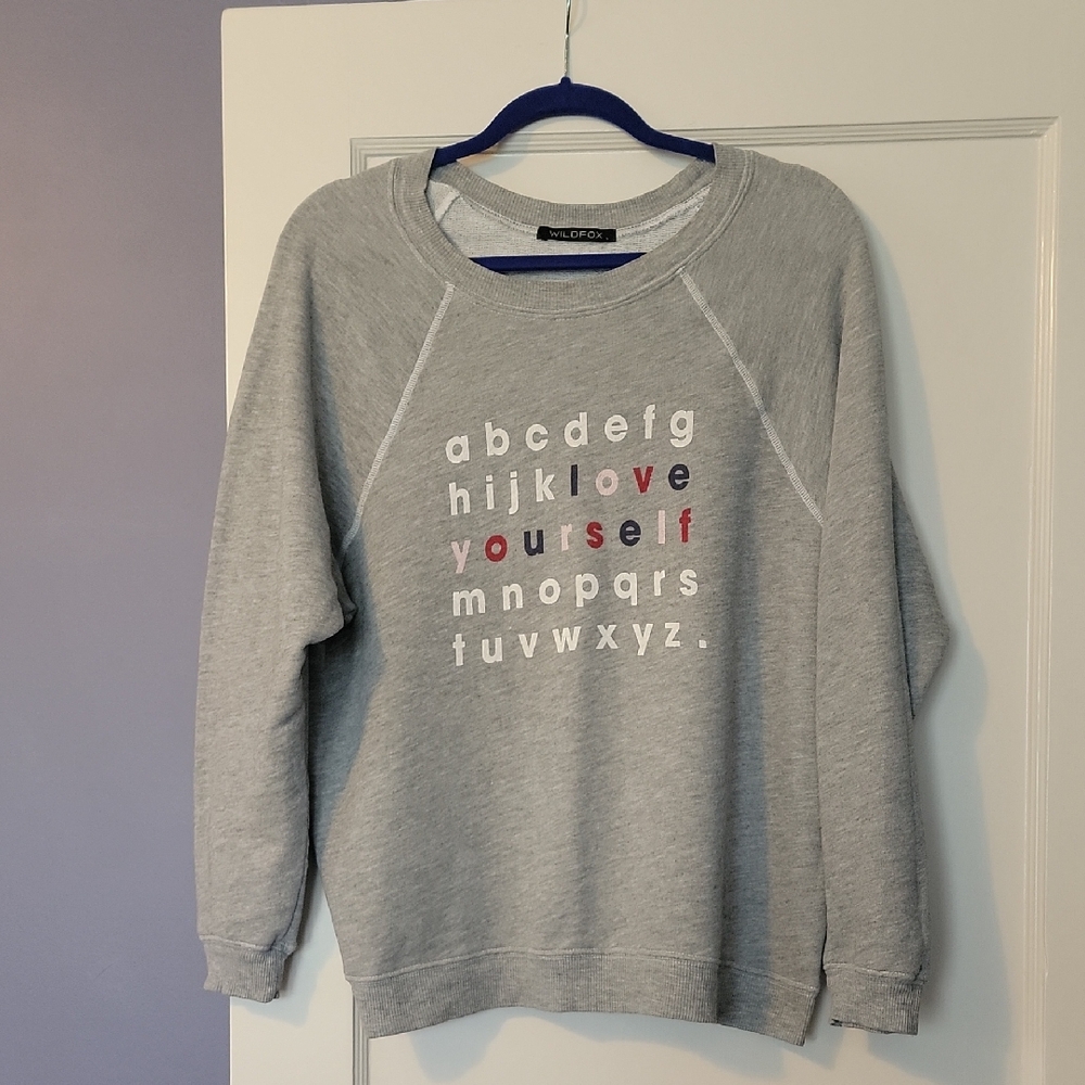 Wildfox Sweatshirt 🩶